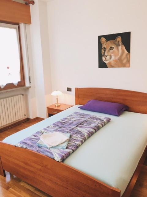 Bed&Breakfast Zattieri Понте-нелле-Альпи Экстерьер фото